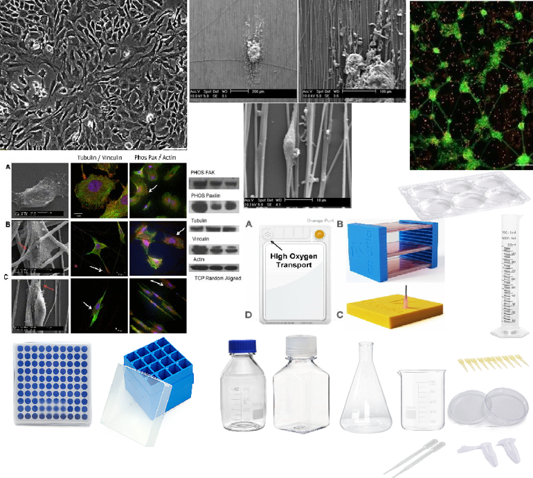 Ultra-Low Binding Culture Plates