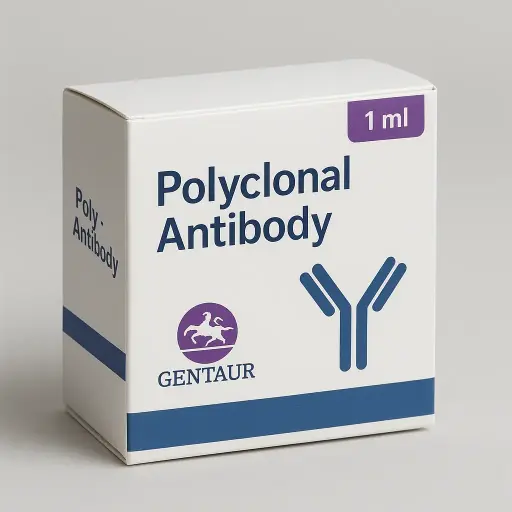 Gelsolin Rabbit pAb - A22015